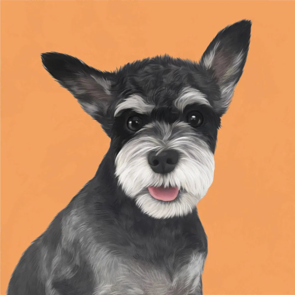 Custom hand-painted portrait of a smiling Schnauzer dog on an orange background. Perfect for personalized pet gifts and pet anniversary gift ideas.