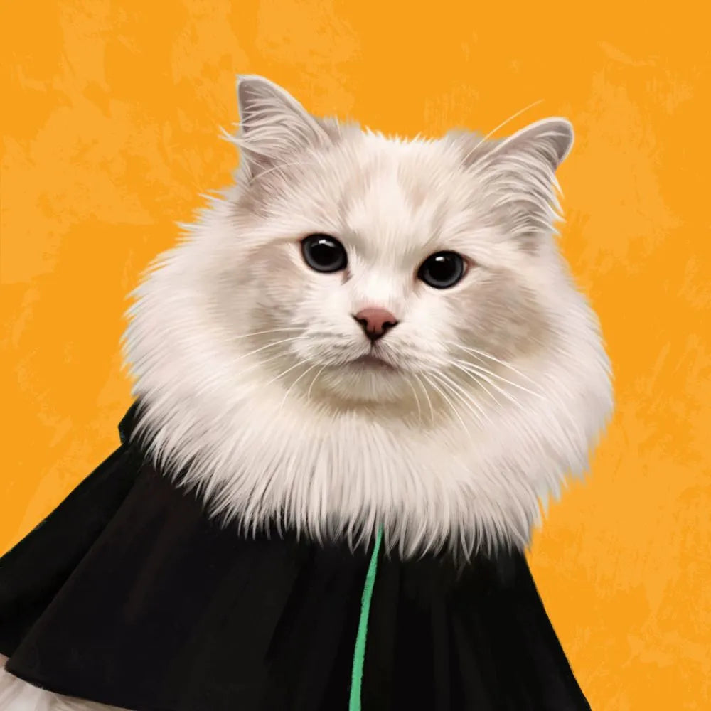 Memorial pet portrait of a long-haired white cat dressed in a black cape. Ideal for remembrance gifts and custom pet artwork.