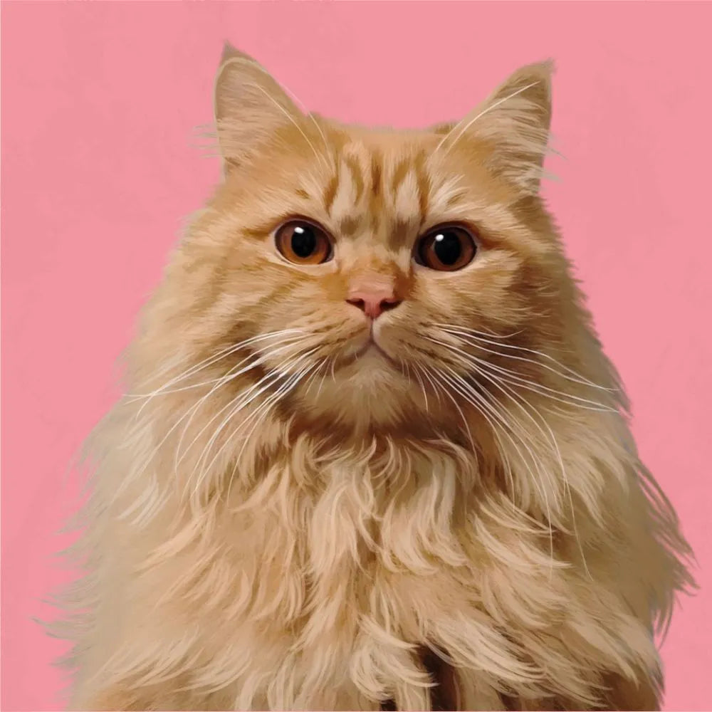 Long-haired ginger cat custom portrait on pink background – memorial pet art and personalized cat lover gift by Pawmise.