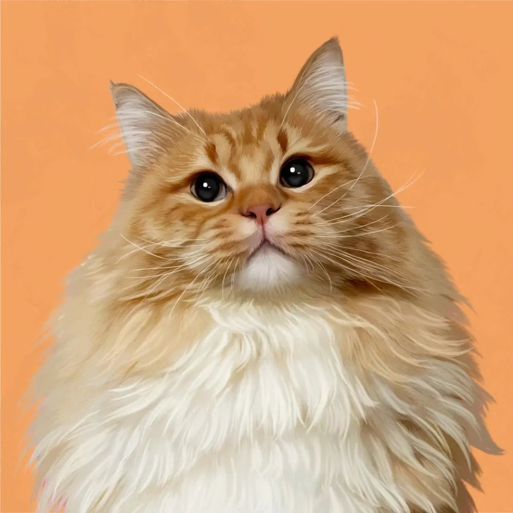 Custom fluffy cat portrait with orange background – elegant, hand-painted artwork perfect for cat blanket or pillow gift by Pawmise.