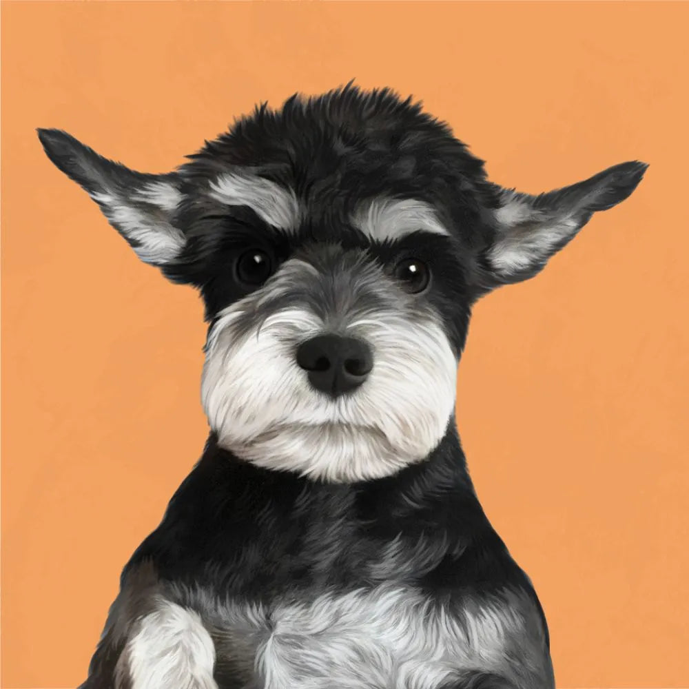 Mini Schnauzer custom portrait against orange backdrop – unique dog lover gift idea from Pawmise, perfect for mugs or pillows.