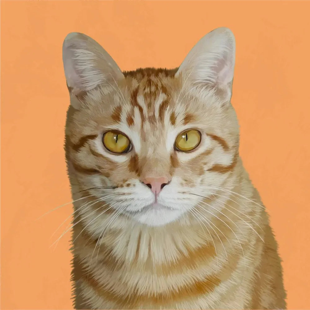 Orange tabby cat illustration – personalized artwork by Pawmise