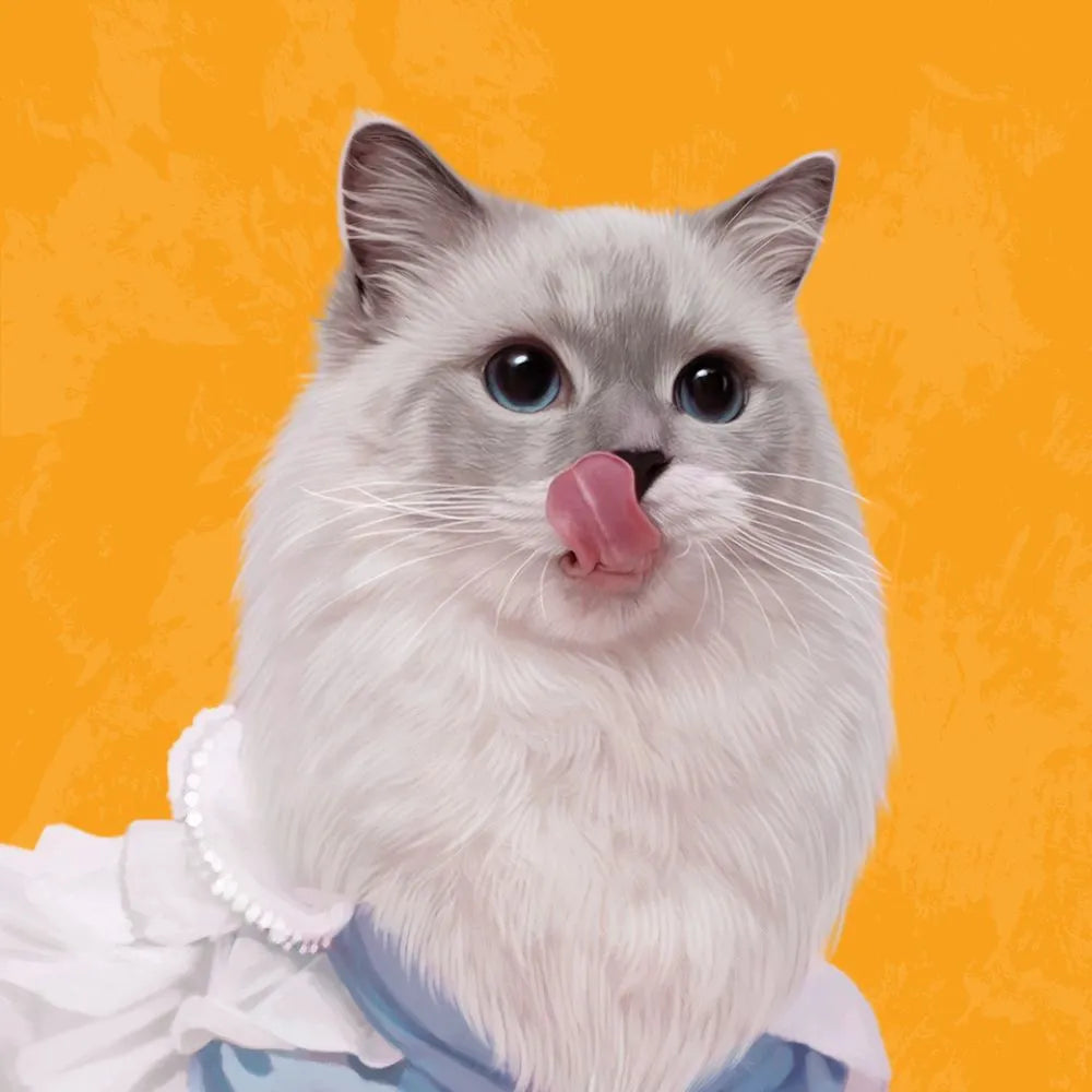 Custom cat portrait of a Ragdoll cat licking its nose in a blue dress, great for cat portrait blanket gift or custom pet portrait mug.