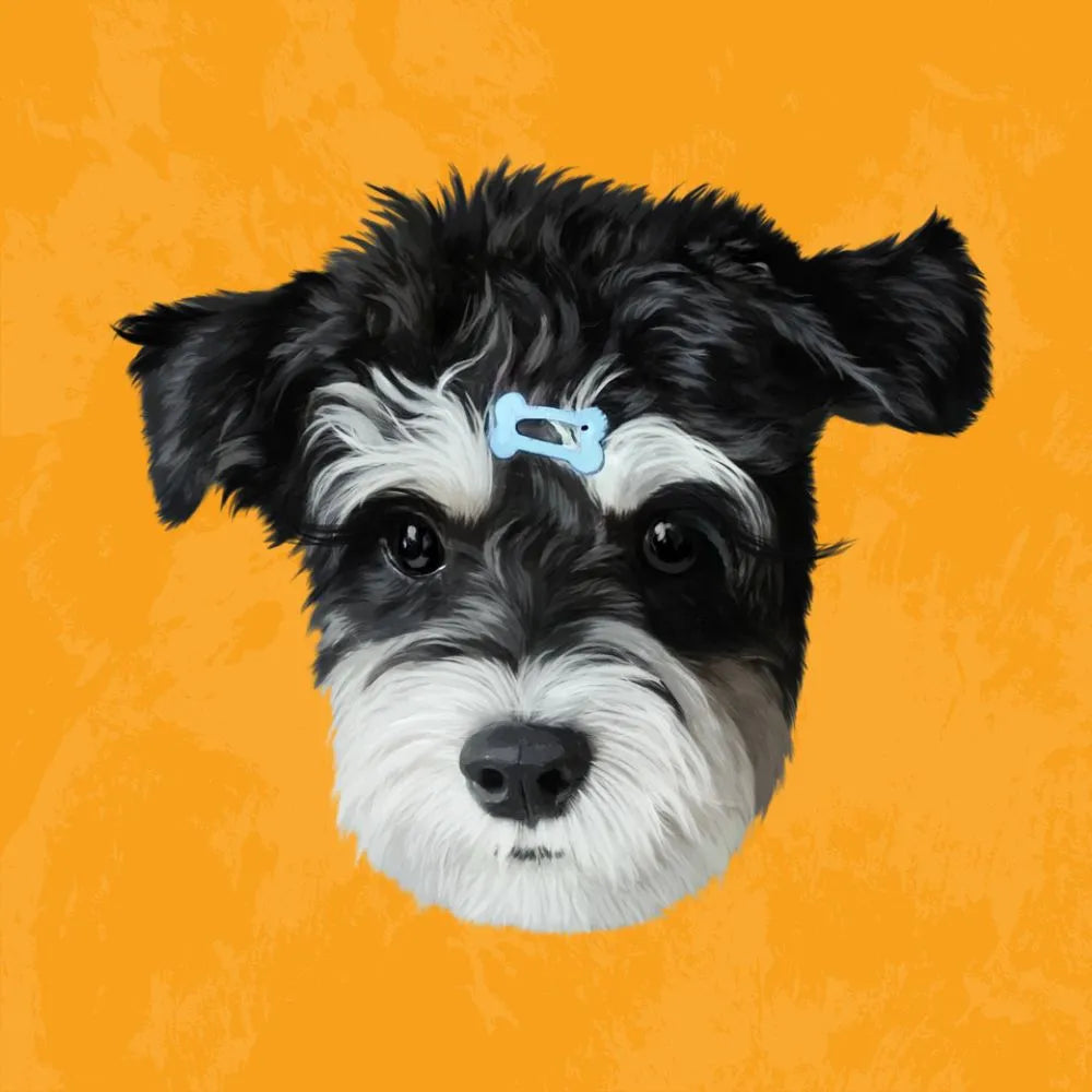 Adorable Schnauzer dog with blue hairclip – unique hand-painted custom portrait on bright orange from Pawmise, ideal pet anniversary gift idea.