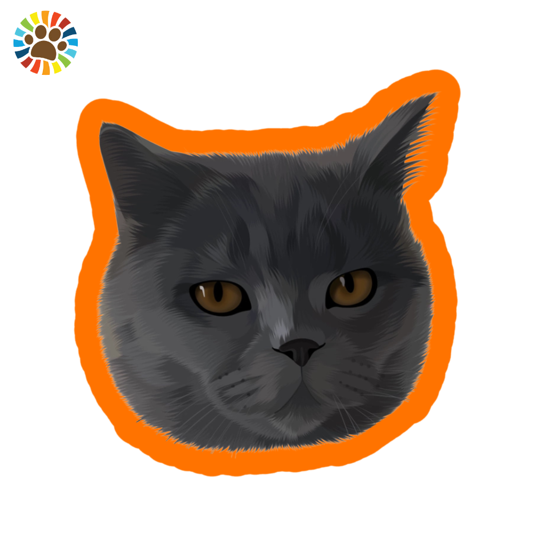 Detailed custom portrait of a British Shorthair cat with dark grey fur and amber eyes, surrounded by an orange border. Great for unique cat lover gifts.