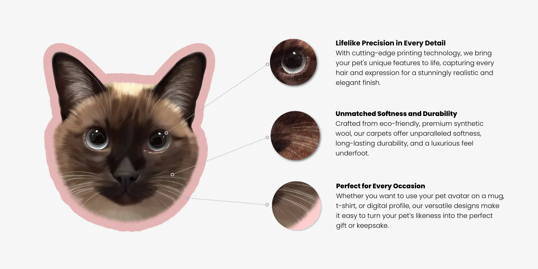 Close-up breakdown of cat portrait showing eye detail, fur softness, and printing precision for custom pet gifts.