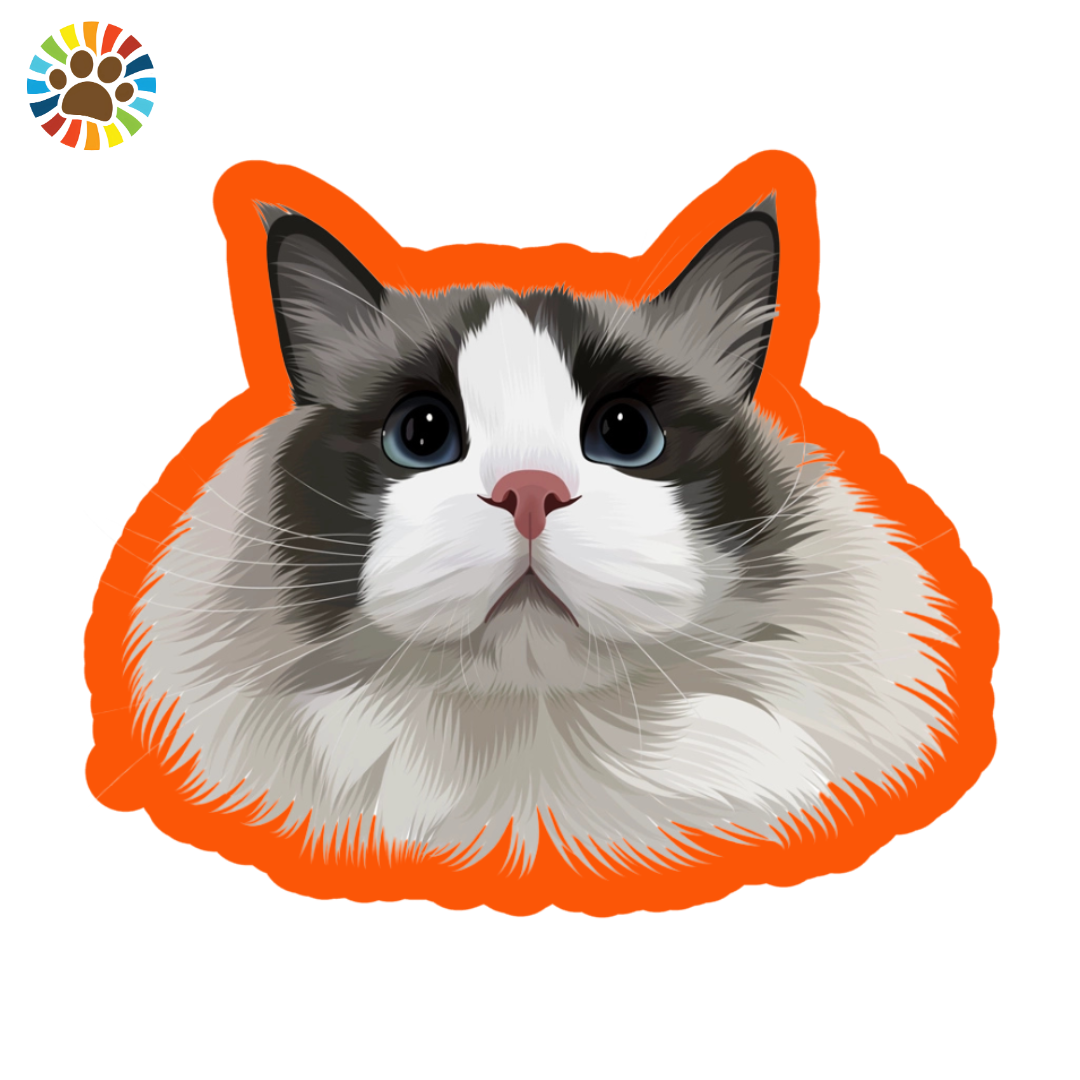 Hand-painted custom portrait of a fluffy ragdoll cat with blue eyes, outlined by an orange border. Ideal personalized pet gift or memorial artwork.